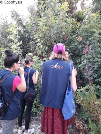 autumn eco tour2